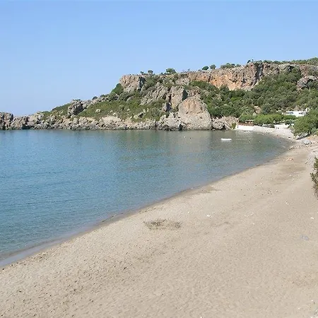 Ξενοδοχείο πολύριζος